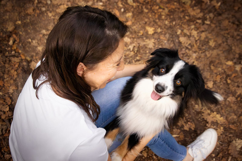 séance photo chien automne alpes de haute provence montagne de lure chien