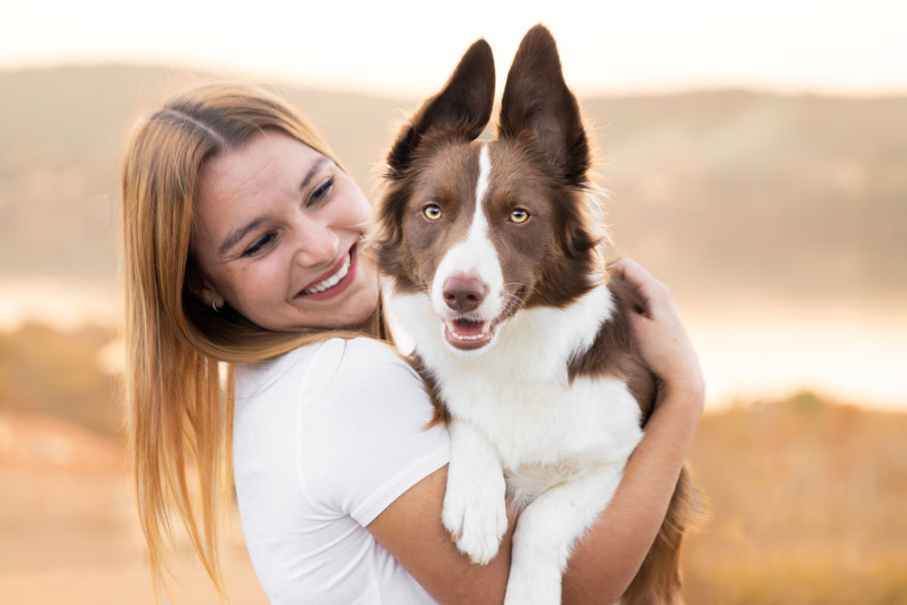 seance photo chien border collie chocolat etang de berre st chamas
