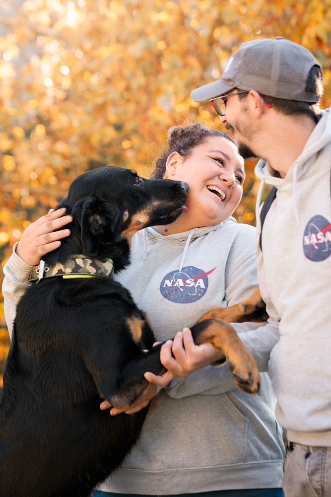 beauceron chien photographe manosque