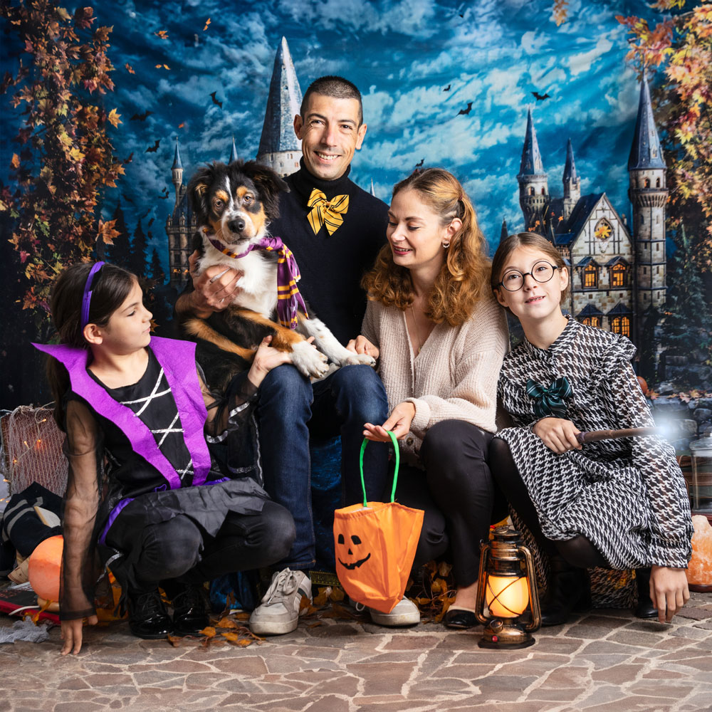 séance photo chiot berger australien salon de provence harry potter