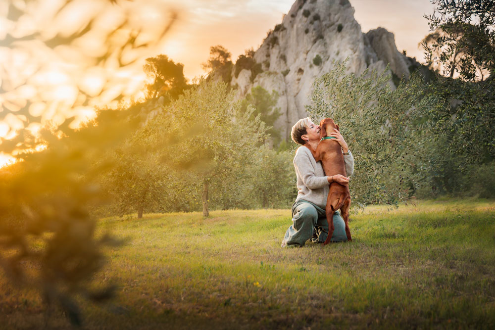 séance photo chiot braque hongrois alpilles