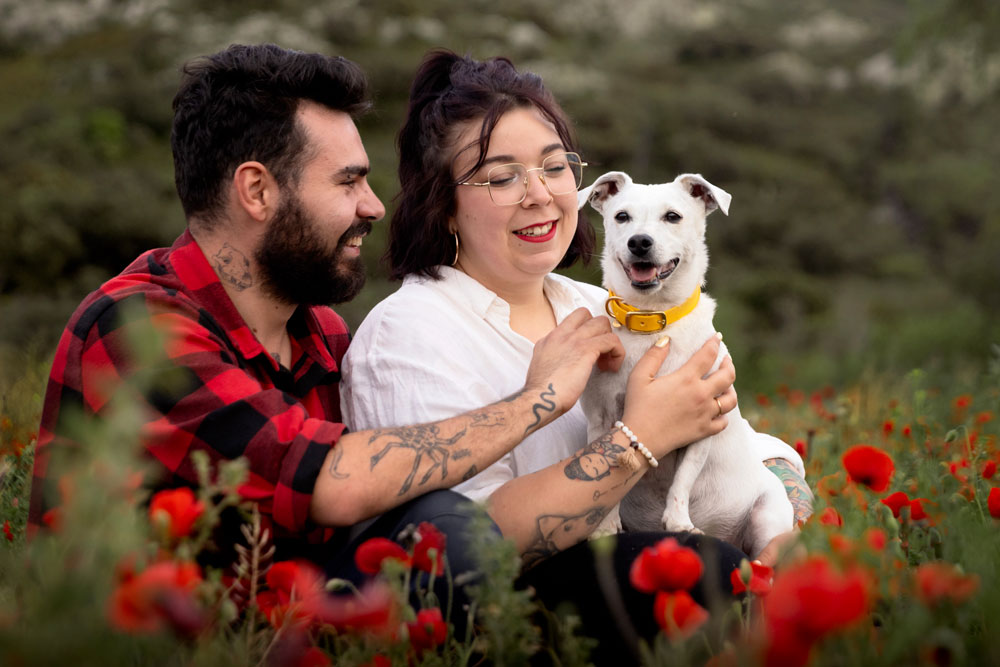 seance-photo-couple-chien-jack-russel-alpes-haute-provence-coquelicot séance photo couple coquelicot alpes de haute provence chien