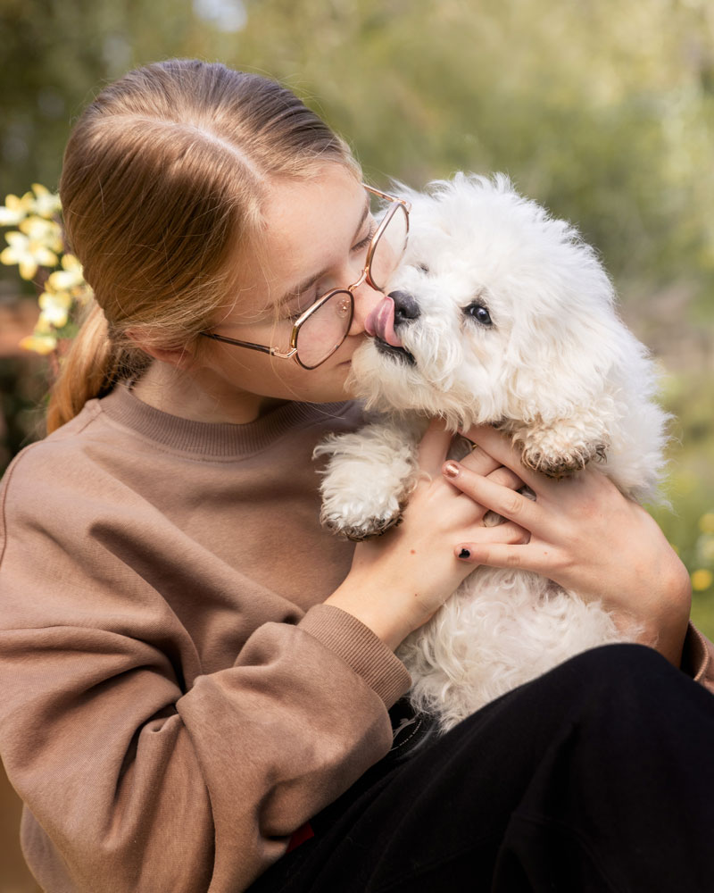 chiot-bichon-seance-photo-photographe-canin-manosque chiot bichon séance photo manosque