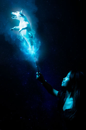 patronus chien photomontage photoshop photographe séance studio