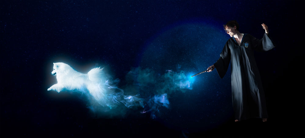 chien patronus photomontage séance photo