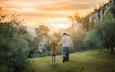Comment se déroule une séance photo “Les Instants Précieux” avec ton chien ?