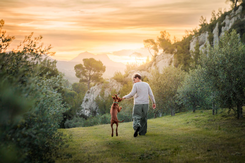 Comment se déroule une séance photo “Les Instants Précieux” avec ton chien ?