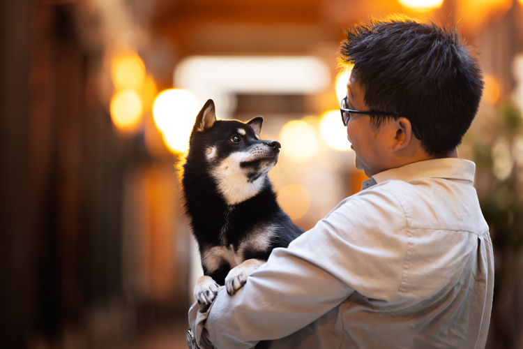 photo homme chien shiba inu paris galerie retouche