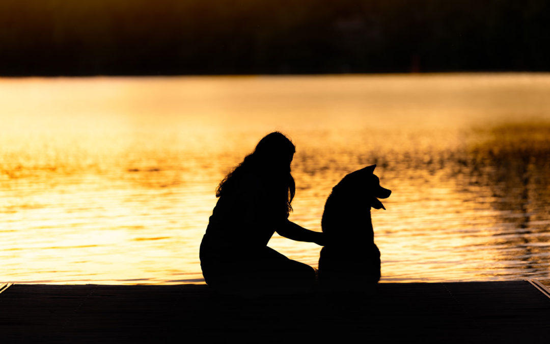 les instants précieux séance photo chien alpes de haute provence