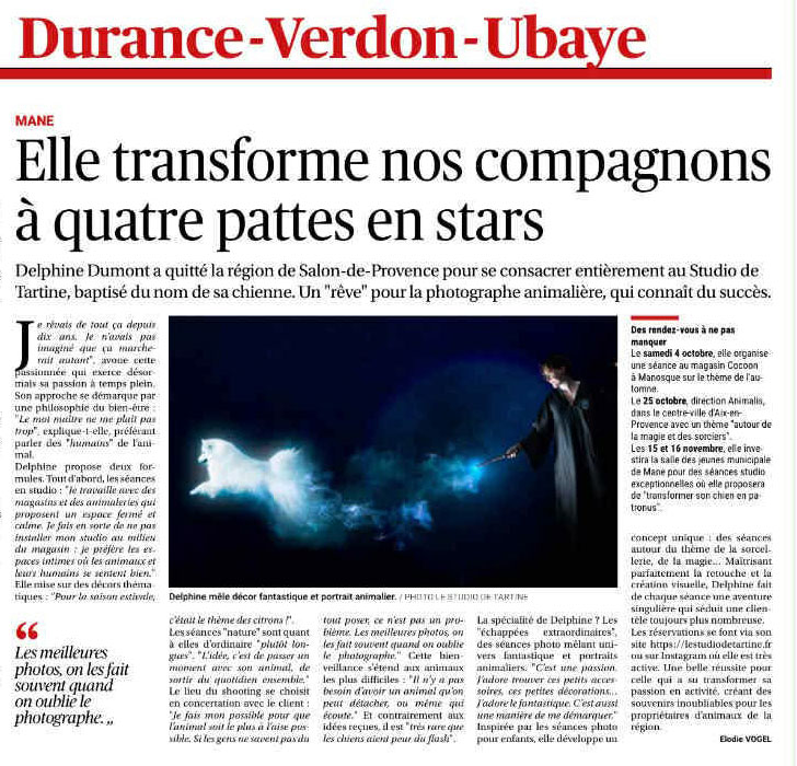 la-provence-journal-le-studio-de-tartine la provence article journal le studio de tartine photographe canin