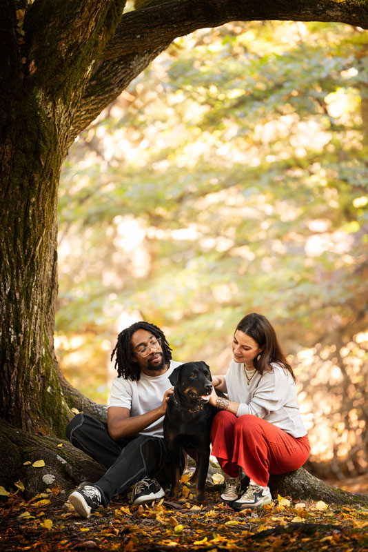 seance photo chien categorisee rottweiller alpes haute provence