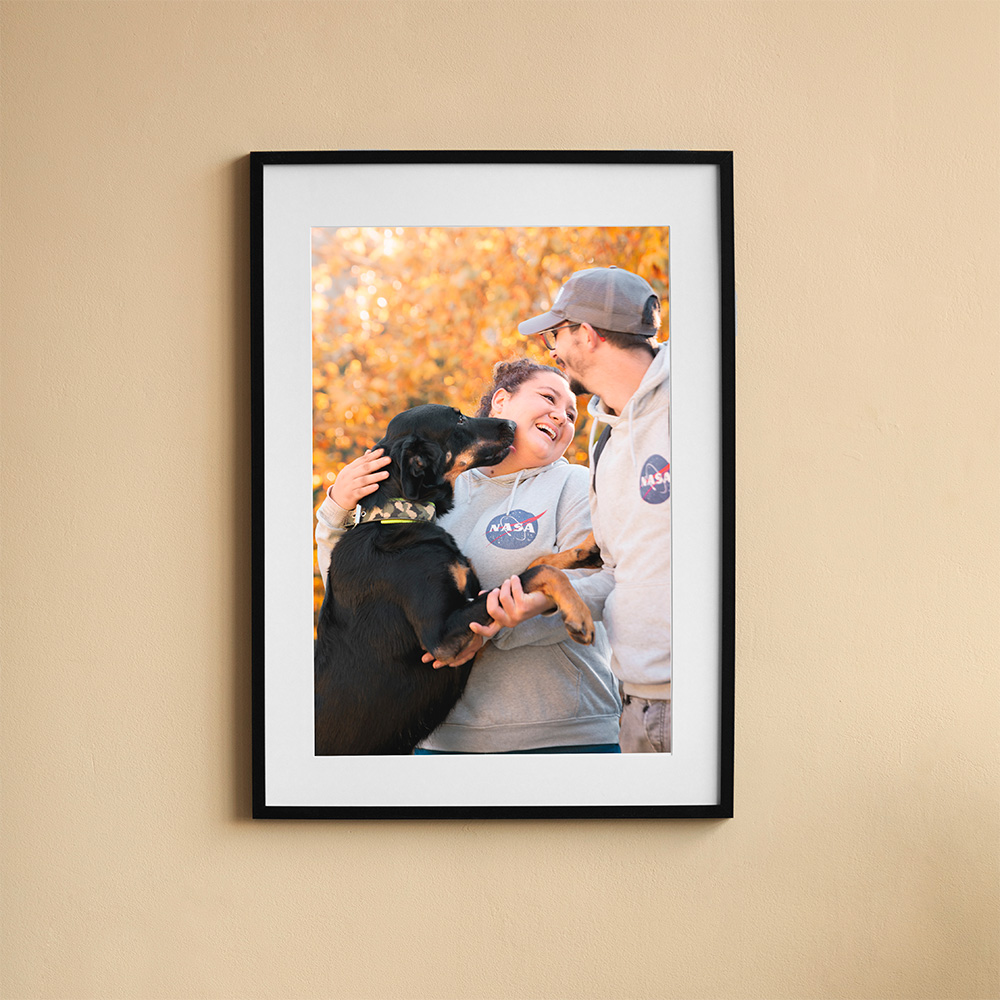 tirage photo encadré photographe canin alpes de haute provence