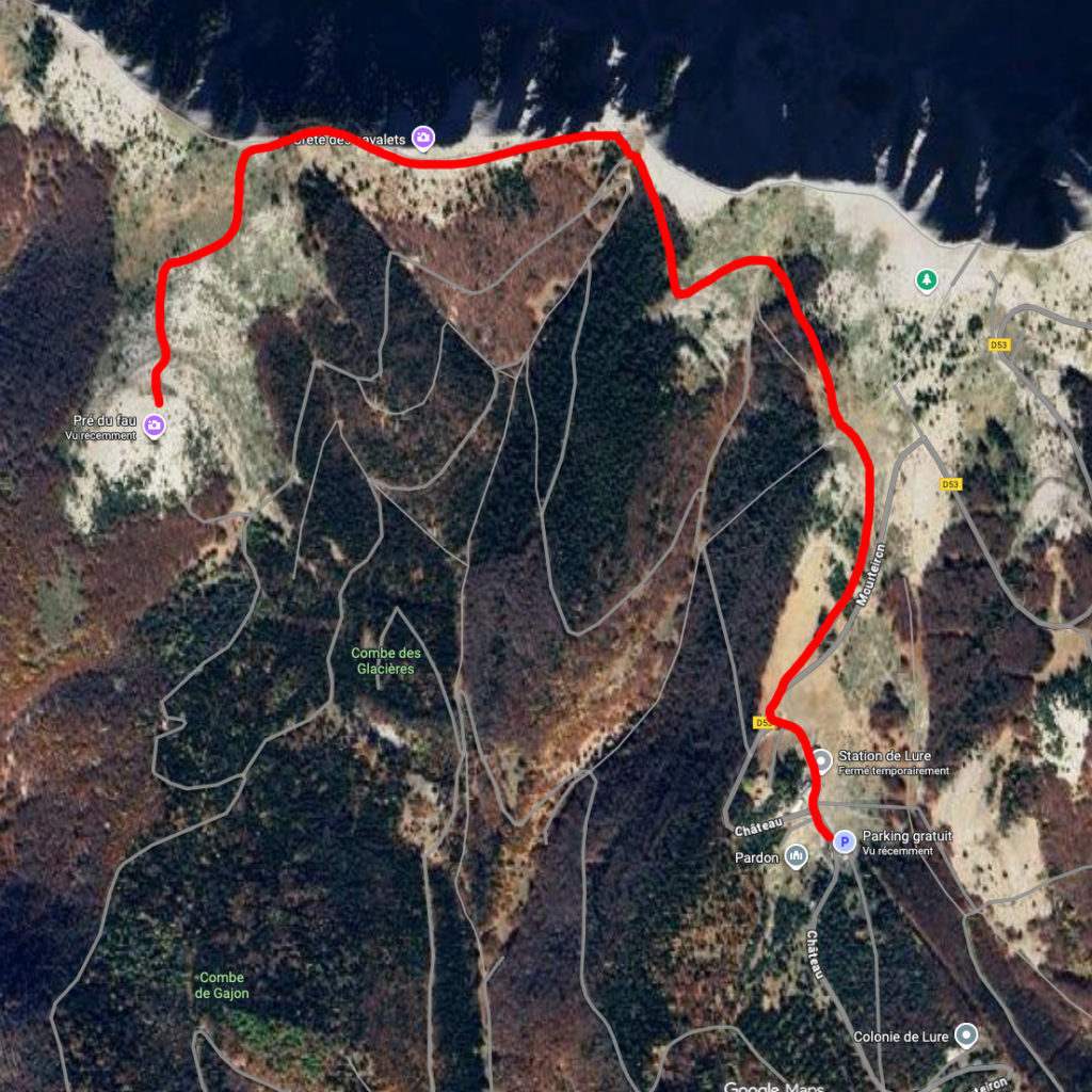 balade dans la neige avec son chien montagne de lure 2h de marseille