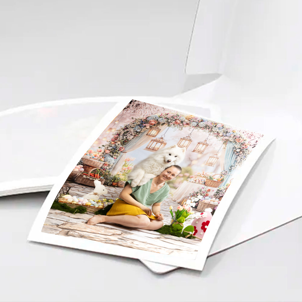 photo numerique chien studio a theme 