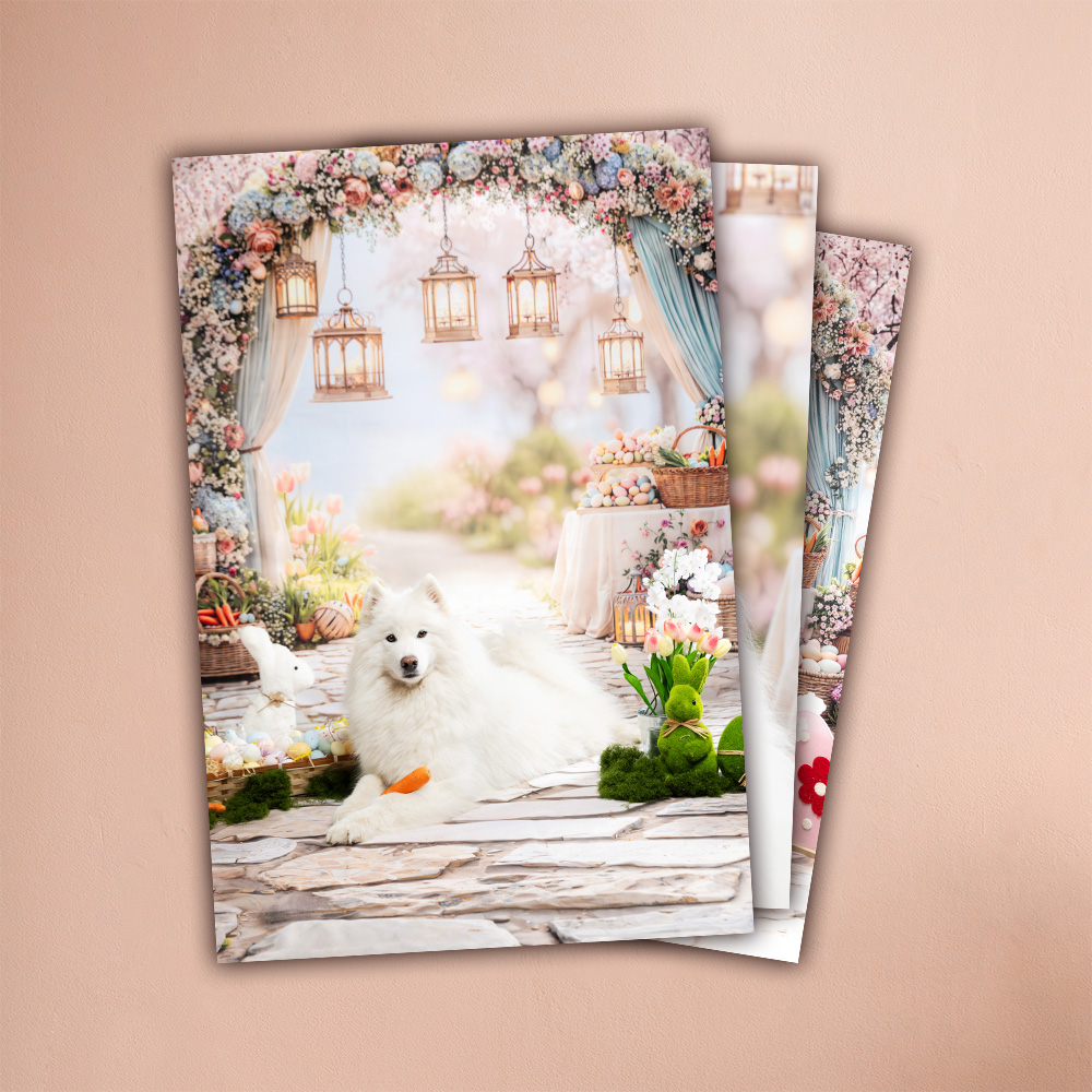 photo chien paques décor studio provence