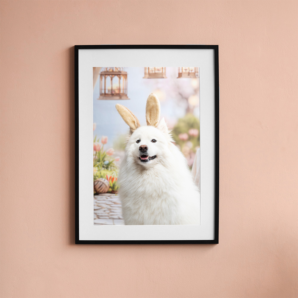 photo chien paques décor studio provence