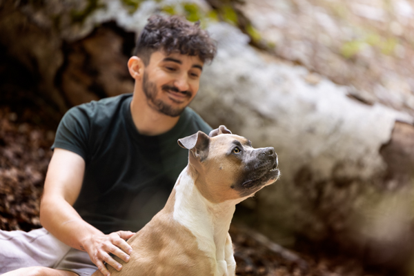 vivre avec un chien staff sensible marseille provence
