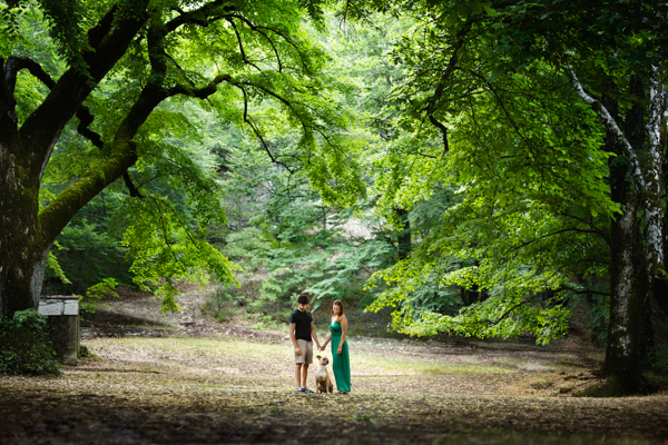 vivre avec un chien staff sensible marseille provence