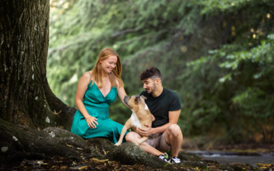 Vivre avec un chien sensible, l&rsquo;histoire d&rsquo;Olive, Louise et Nicolas.