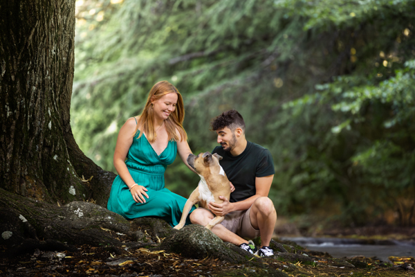 vivre avec un chien staff sensible marseille provence