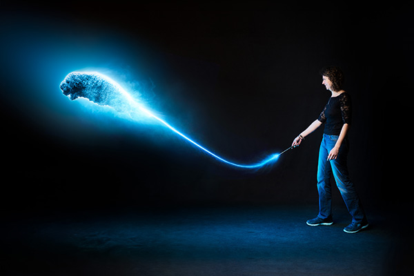 photo-chien-lagotto-sortilege-magie séance photo magique chien provence studio