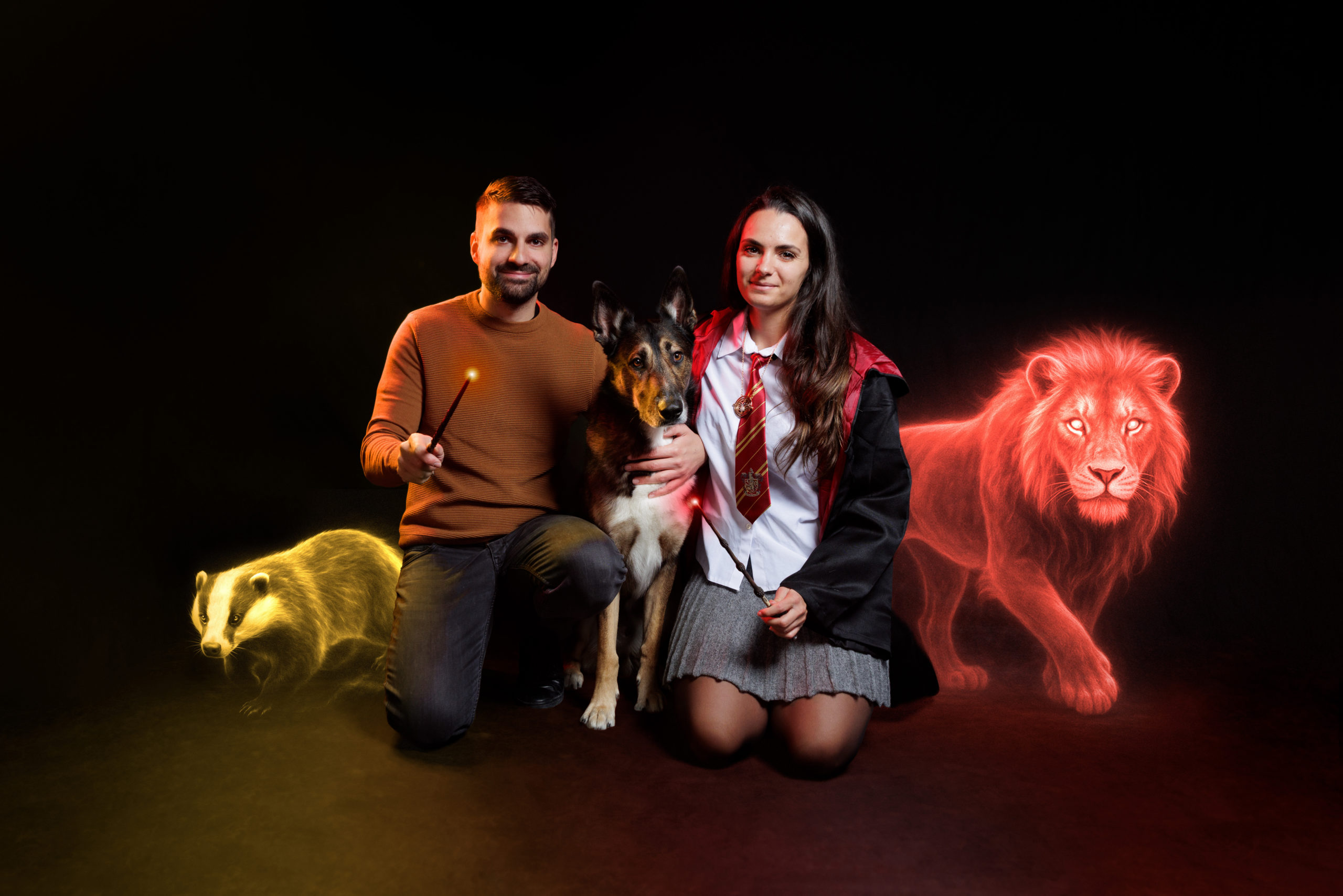 photo-magique-studio-chien-malinois séance photo magique chien provence studio