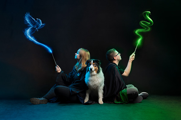 seance-chien-magique-studio-photo séance photo magique chien provence studio