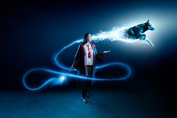 seance-photo-magique-sortilege-chien-studio séance photo magique chien provence studio