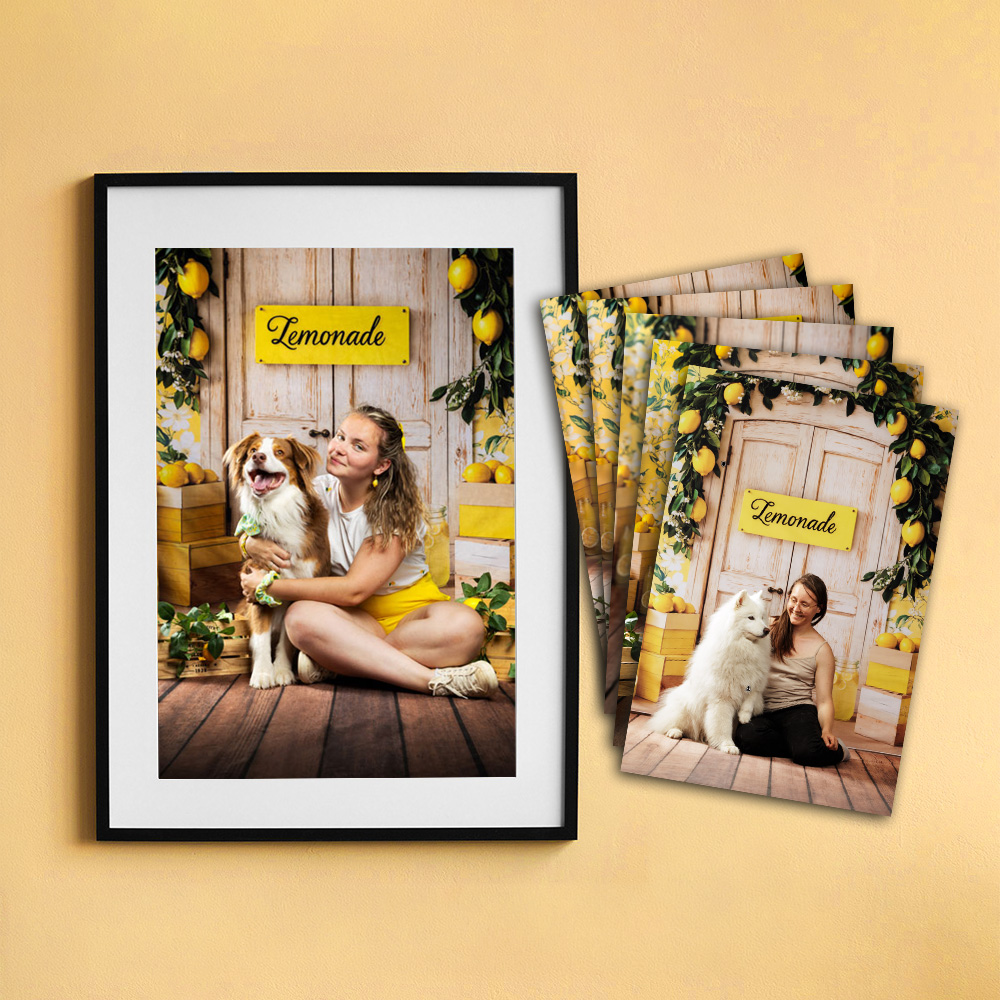 forfaits tarifs le studio de tartine studio photo chien citron été