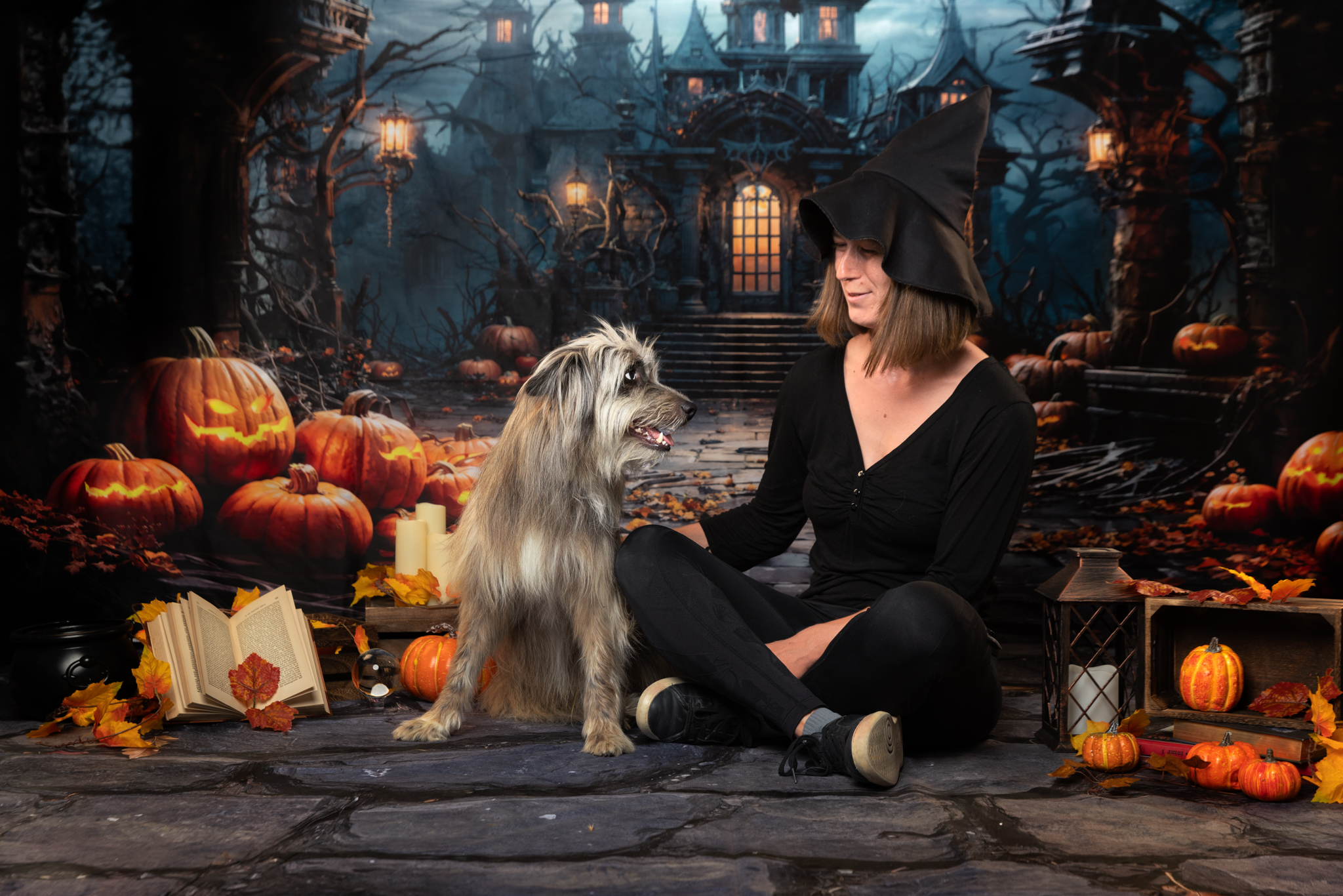 KAYN-WEB-4 photo-studio-chien-seance-automne-la-ciotat