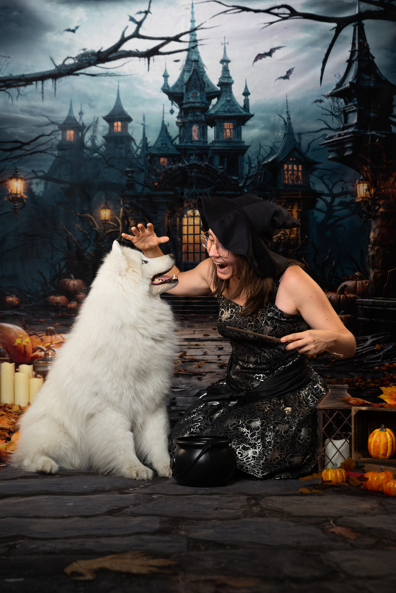 photographe canin famille studio photo automne