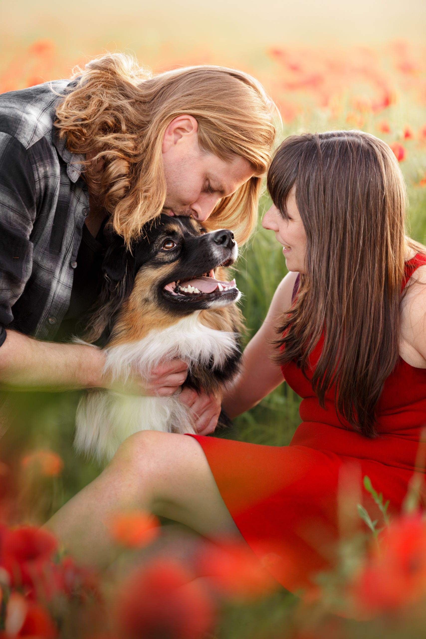 chiot akita inu shooting urbain strasbourg